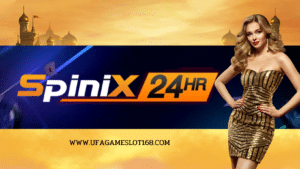 SPINIX24HR